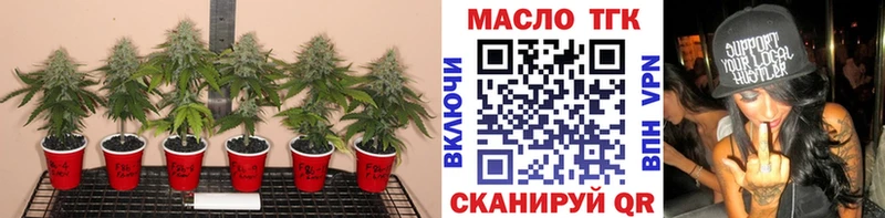 ссылка на мегу зеркало  Пустошка  ТГК гашишное масло 