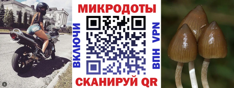 наркошоп darknet состав Псилоцибиновые грибы прущие грибы Пустошка